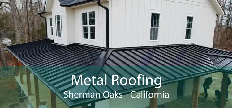 Metal Roofing Sherman Oaks - California