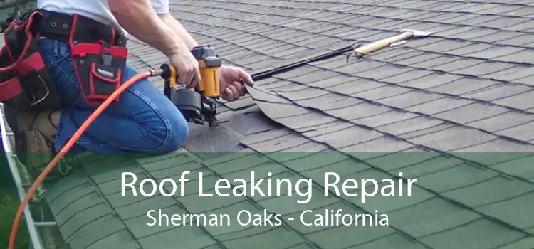 Roof Leaking Repair Sherman Oaks - California