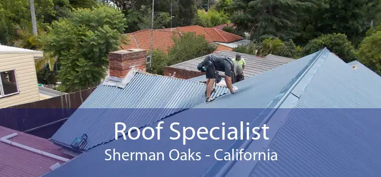 Roof Specialist Sherman Oaks - California