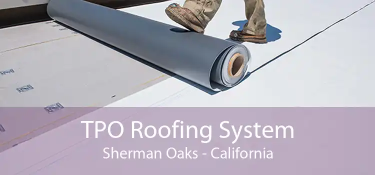 TPO Roofing System Sherman Oaks - California